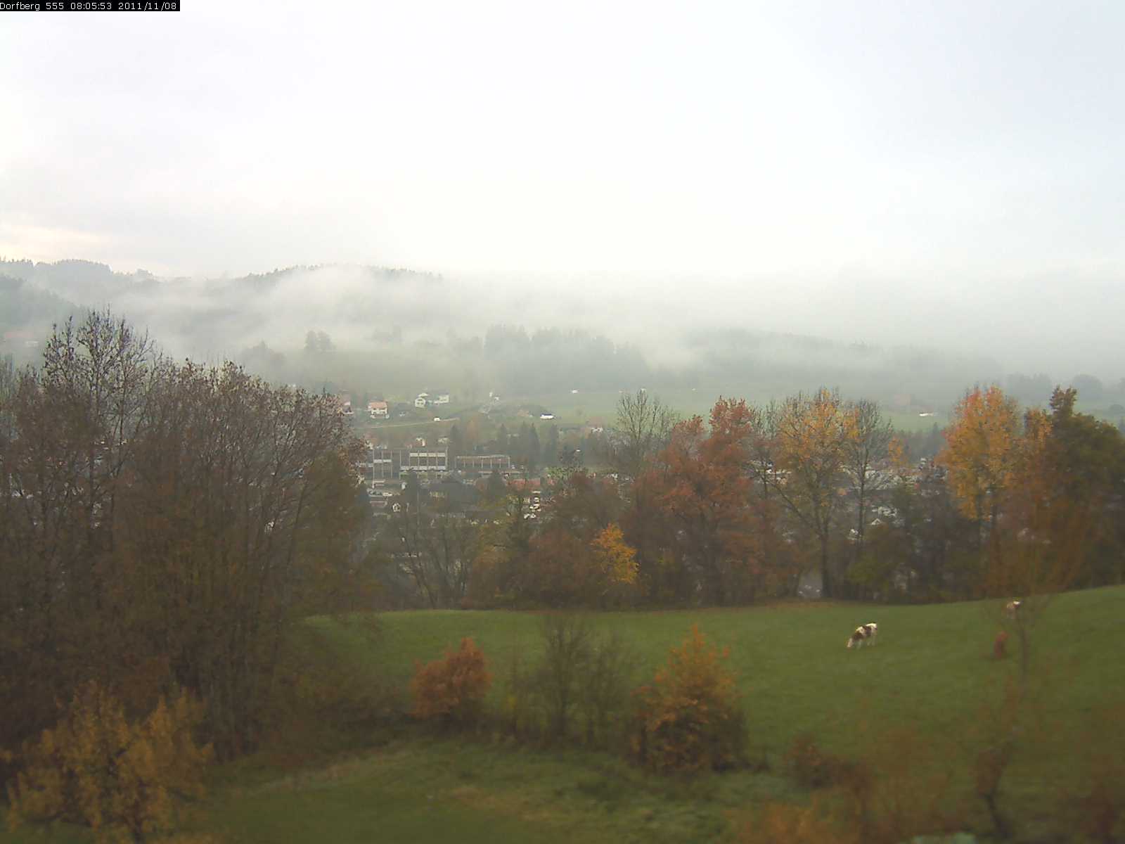 Webcam-Bild: Aussicht vom Dorfberg in Langnau 20111108-080600