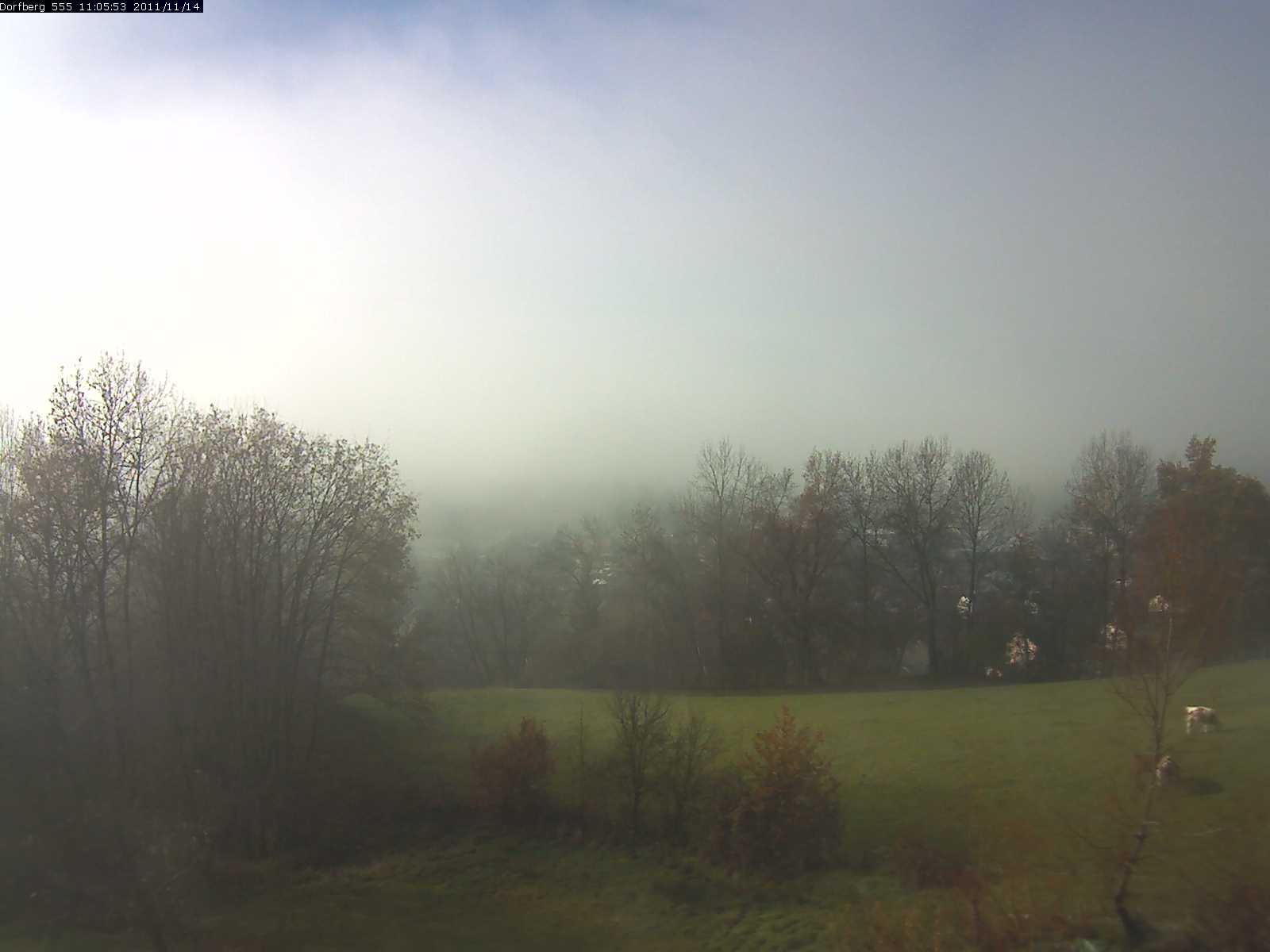 Webcam-Bild: Aussicht vom Dorfberg in Langnau 20111114-110600