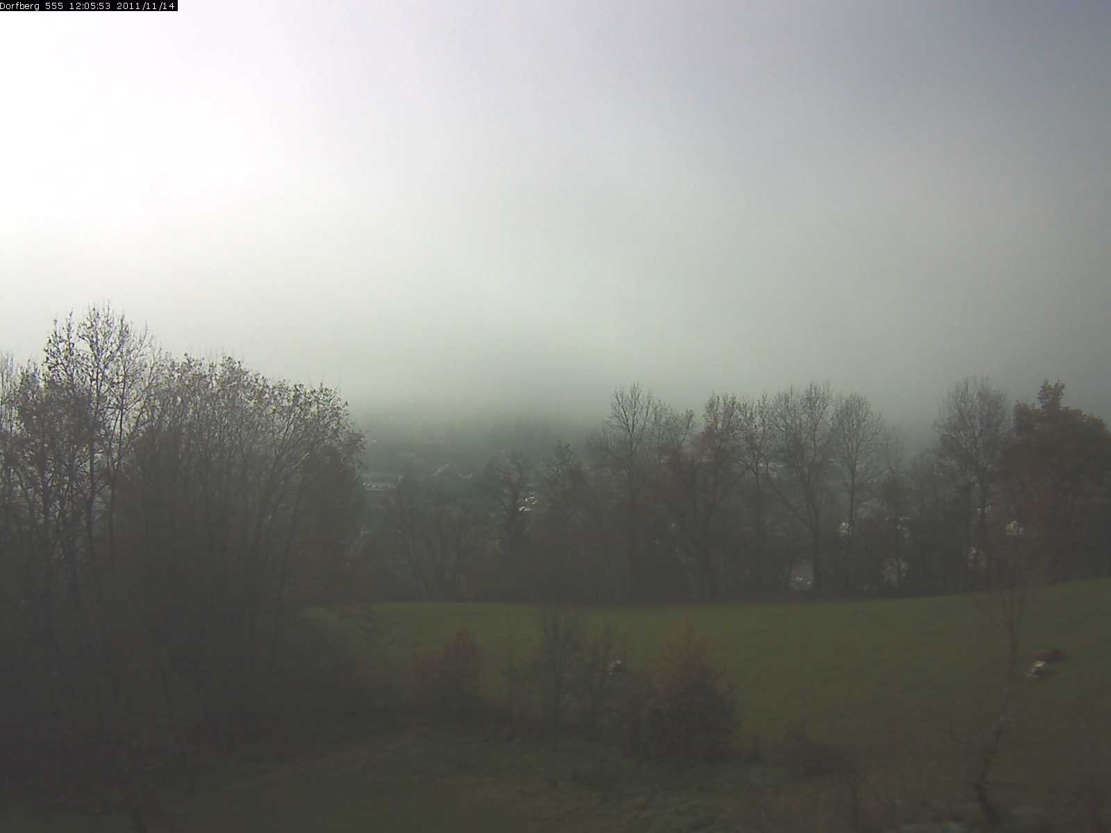 Webcam-Bild: Aussicht vom Dorfberg in Langnau 20111114-120600