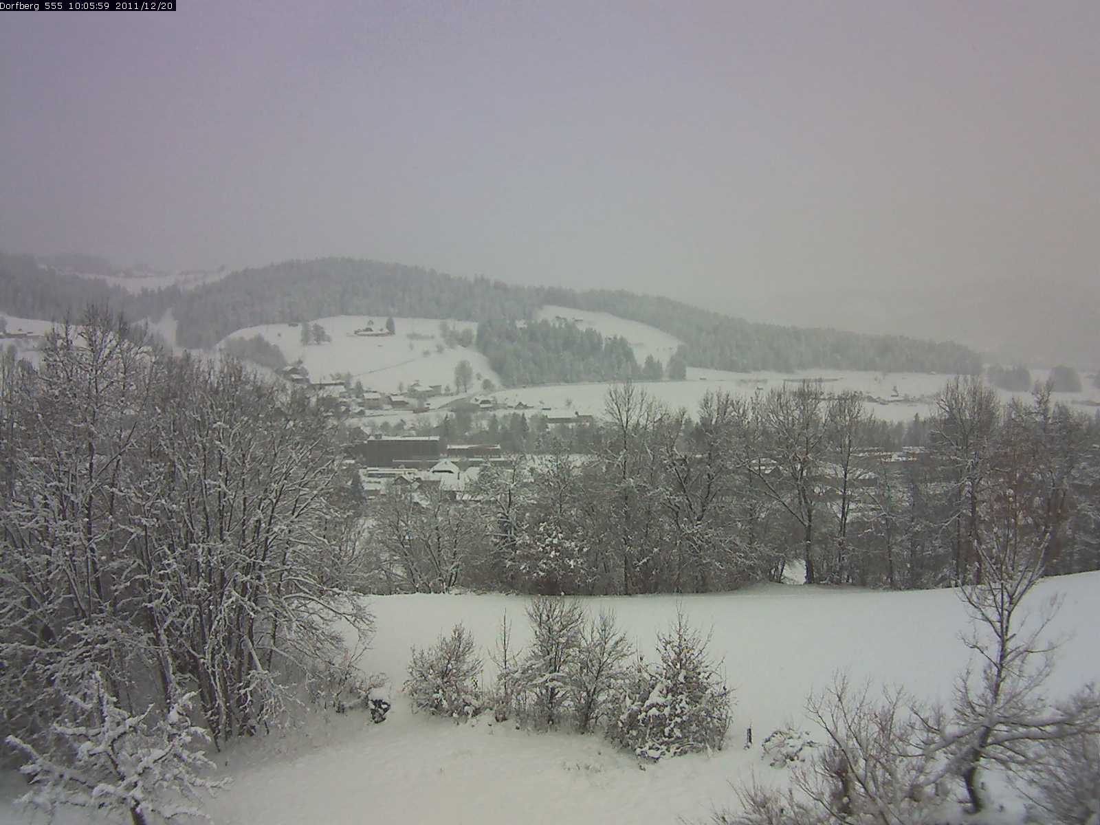 Webcam-Bild: Aussicht vom Dorfberg in Langnau 20111220-100600