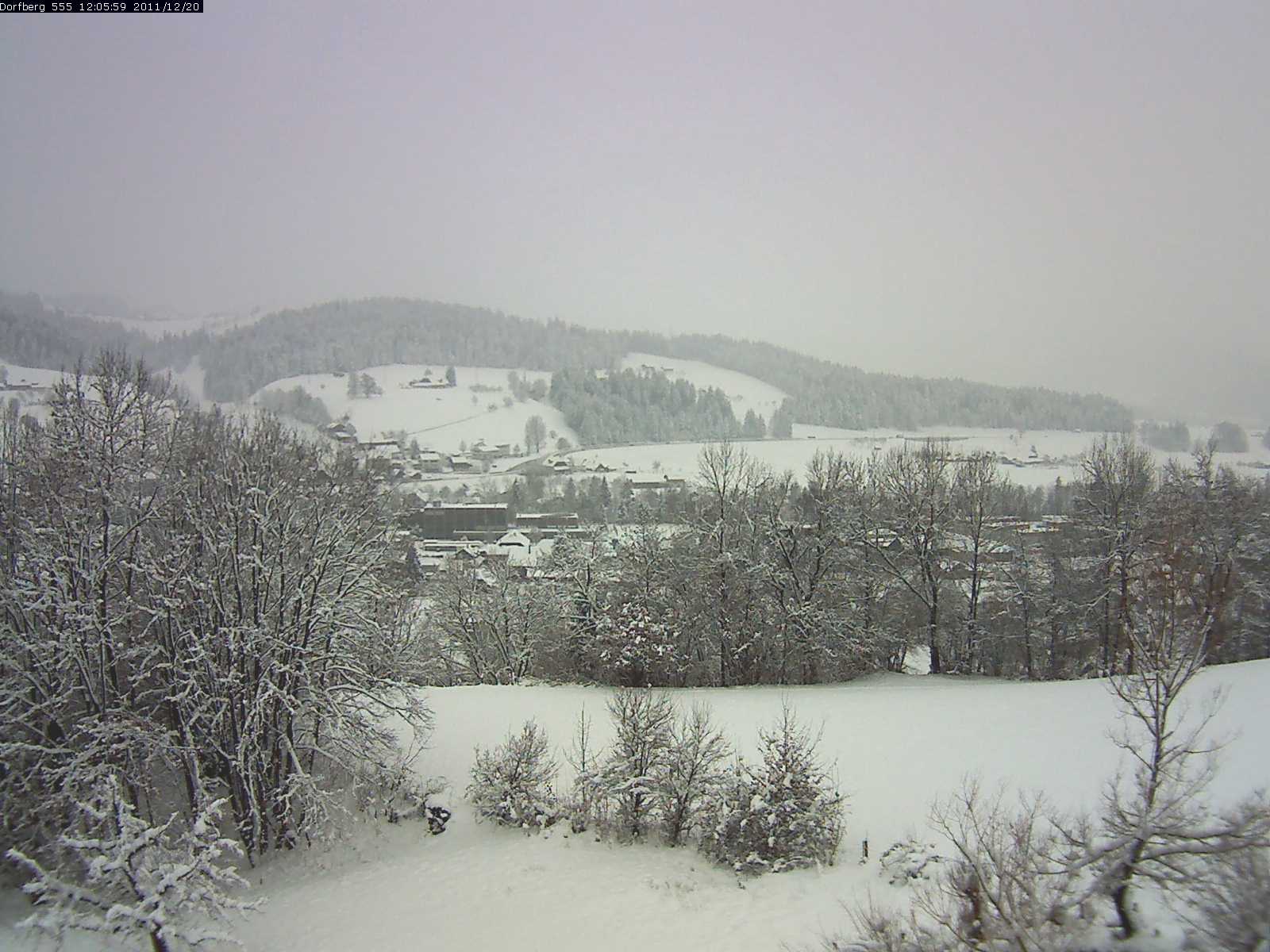 Webcam-Bild: Aussicht vom Dorfberg in Langnau 20111220-120600