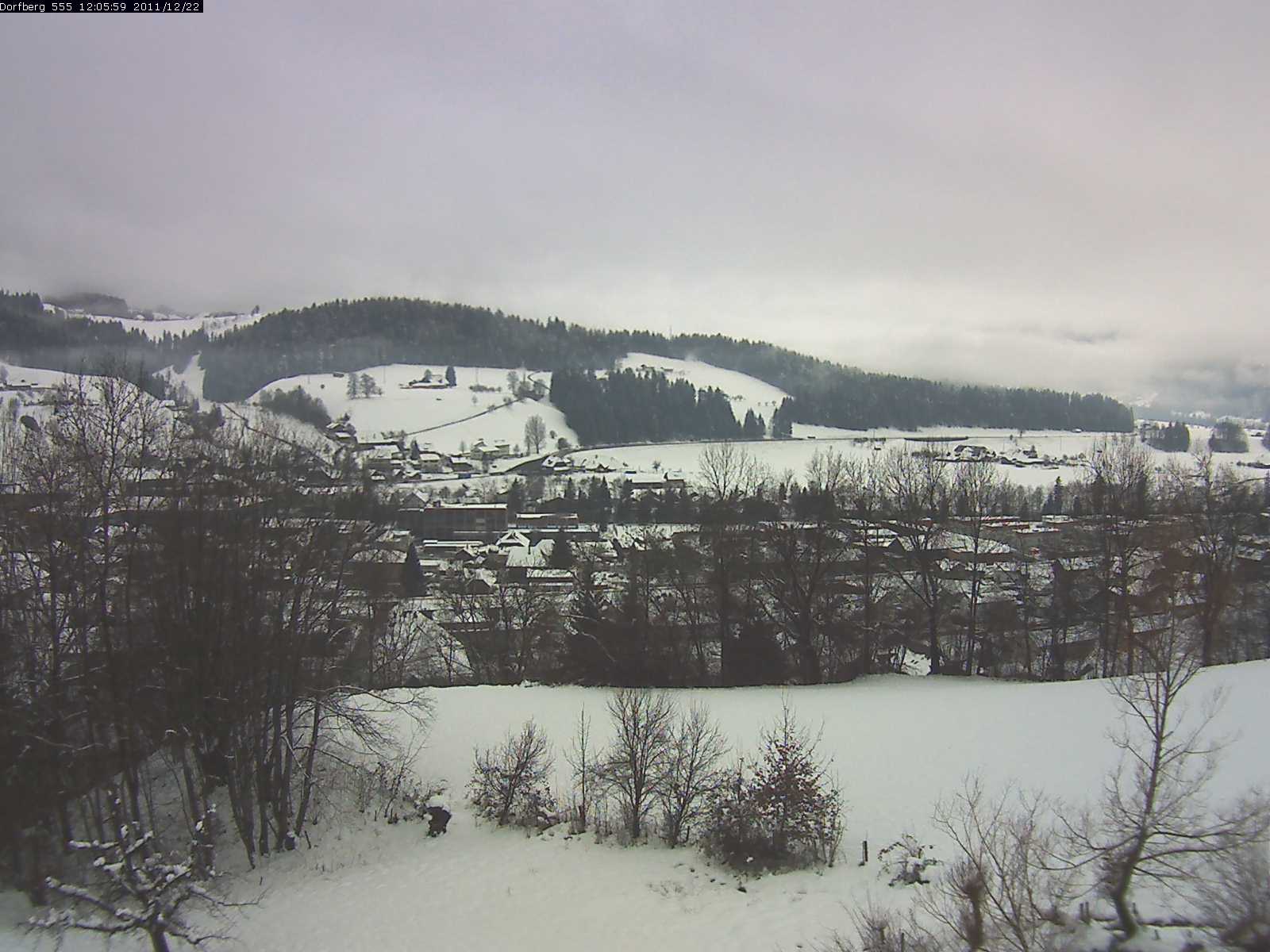 Webcam-Bild: Aussicht vom Dorfberg in Langnau 20111222-120600