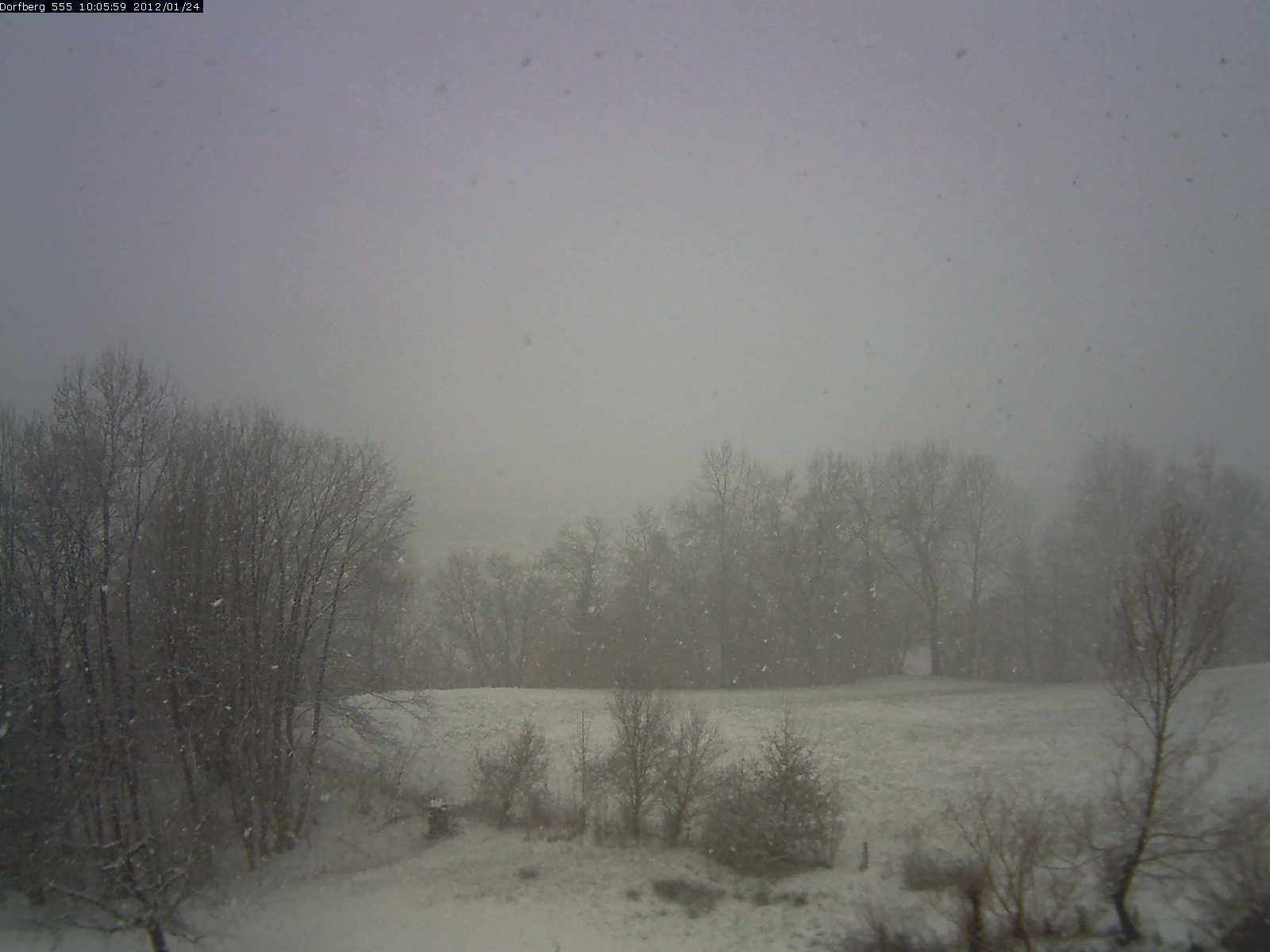 Webcam-Bild: Aussicht vom Dorfberg in Langnau 20120124-100600