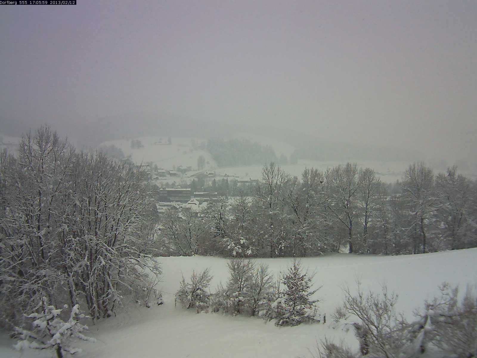 Webcam-Bild: Aussicht vom Dorfberg in Langnau 20130212-170600
