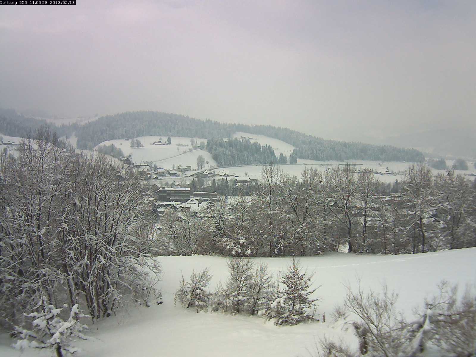 Webcam-Bild: Aussicht vom Dorfberg in Langnau 20130213-110600