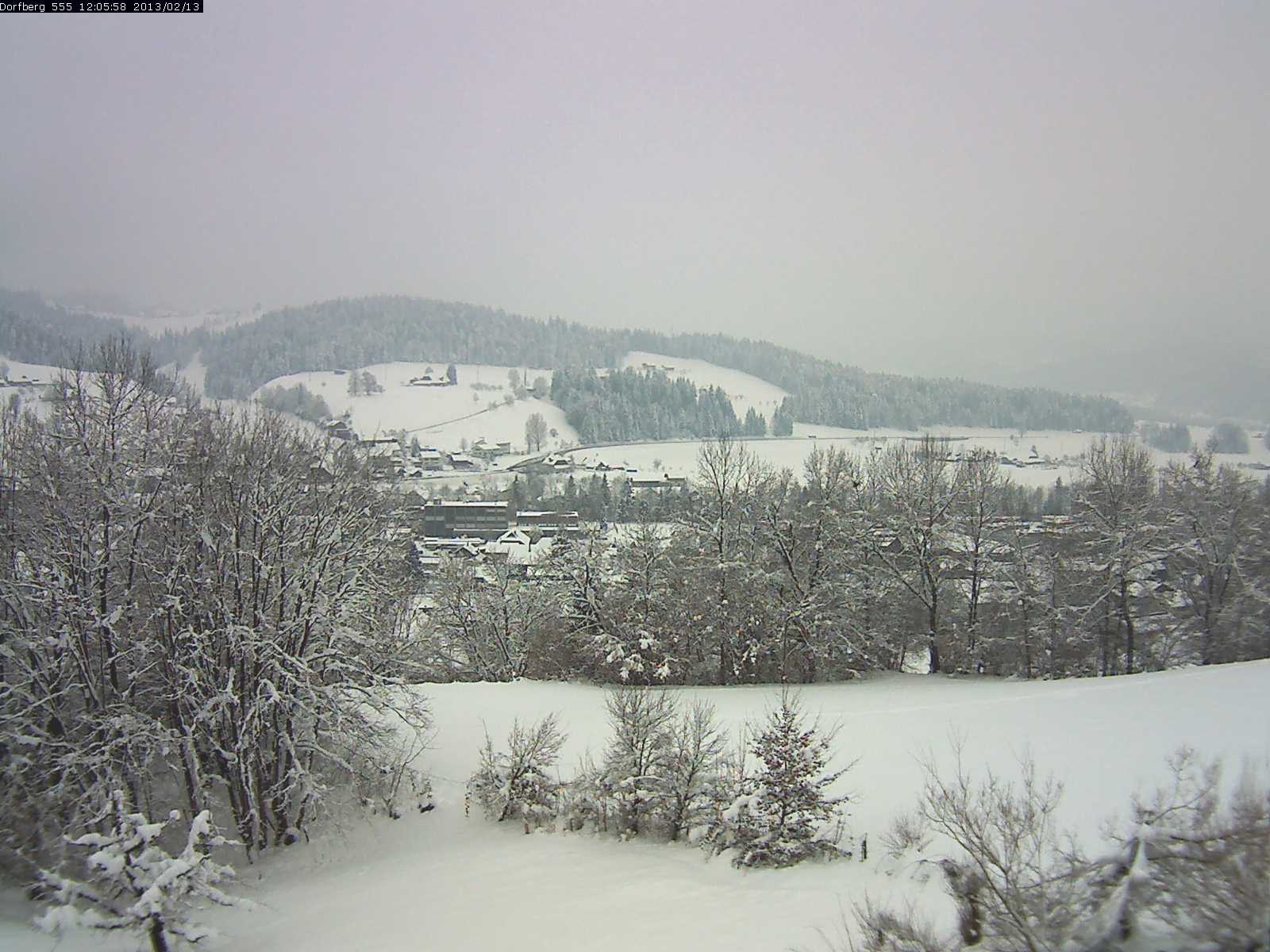 Webcam-Bild: Aussicht vom Dorfberg in Langnau 20130213-120600