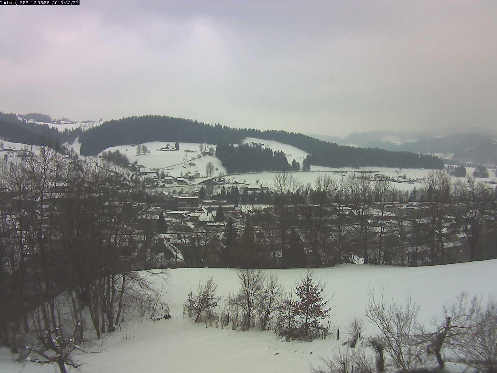 Webcam-Bild: Aussicht vom Dorfberg in Langnau 20130222-120600