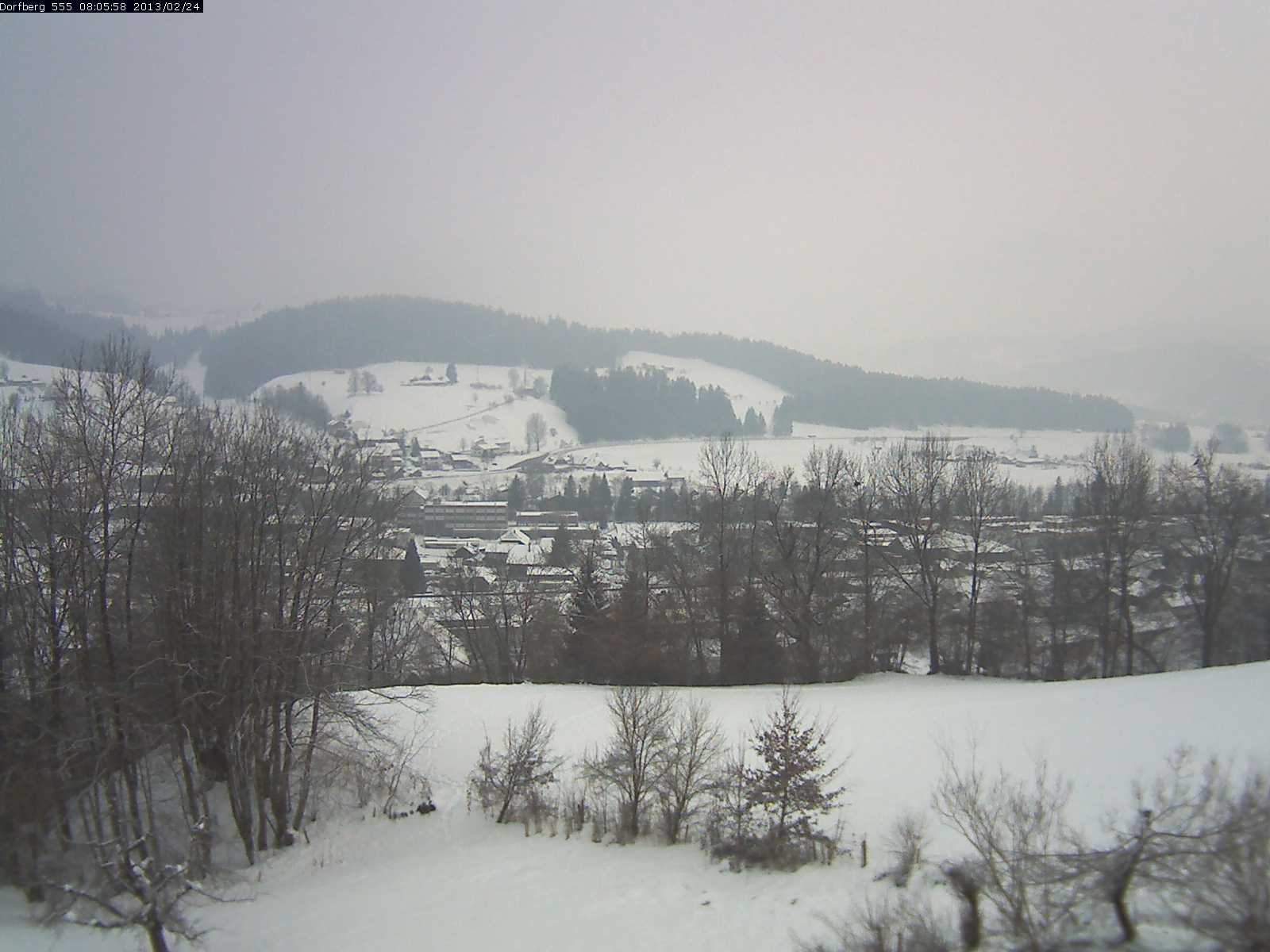 Webcam-Bild: Aussicht vom Dorfberg in Langnau 20130224-080600