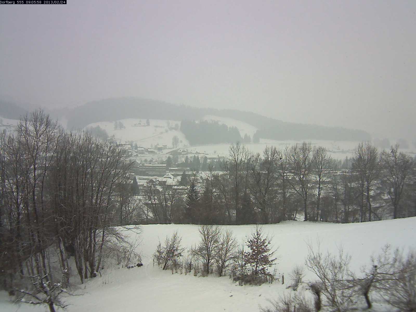 Webcam-Bild: Aussicht vom Dorfberg in Langnau 20130224-090600