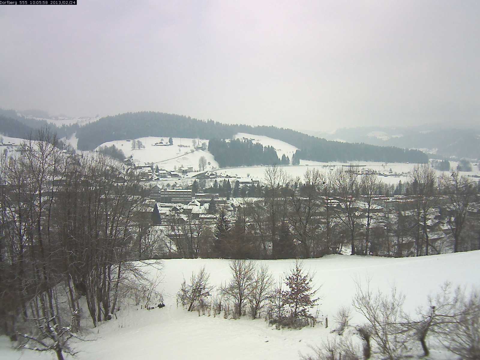 Webcam-Bild: Aussicht vom Dorfberg in Langnau 20130224-100600