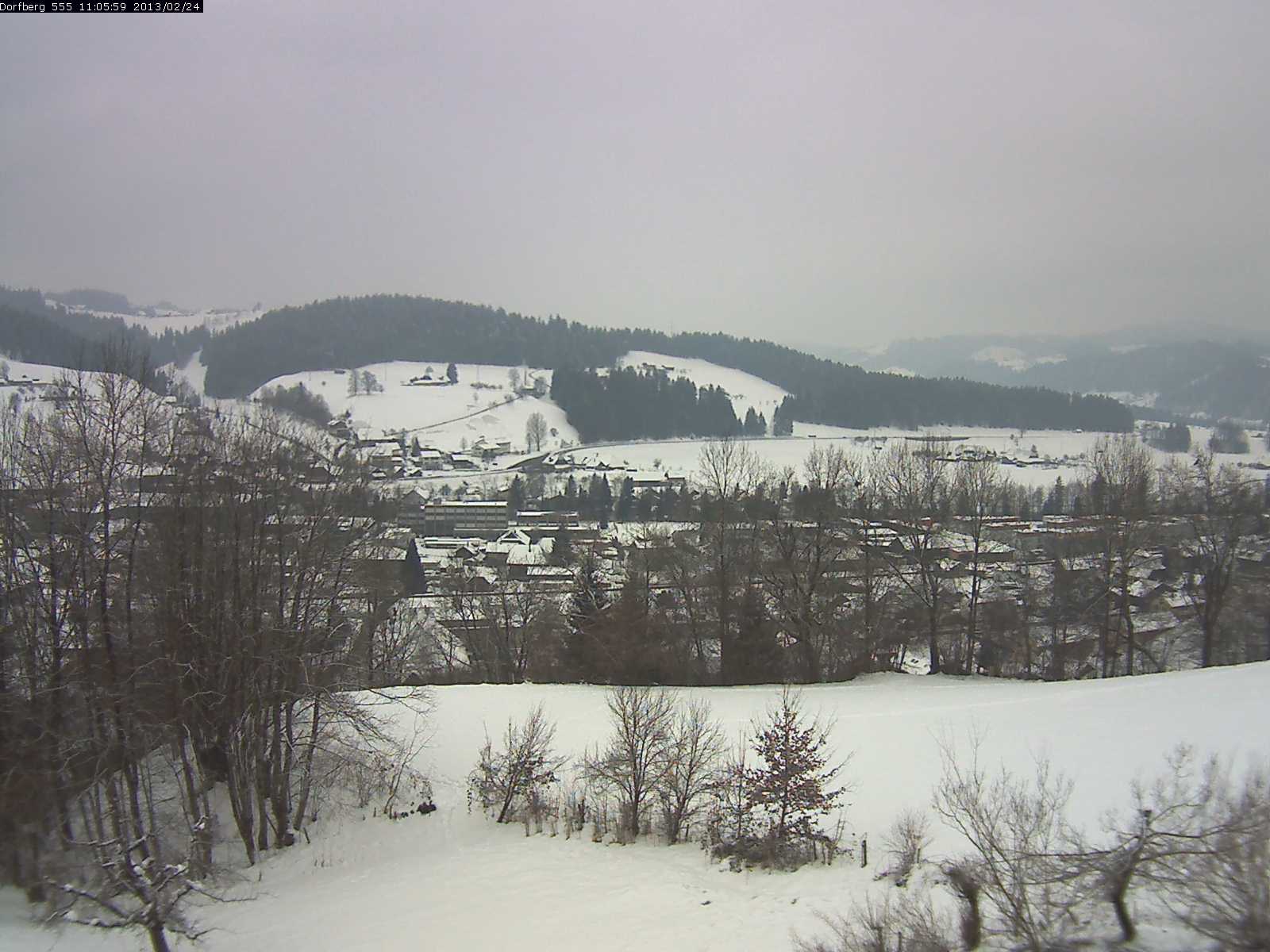 Webcam-Bild: Aussicht vom Dorfberg in Langnau 20130224-110600