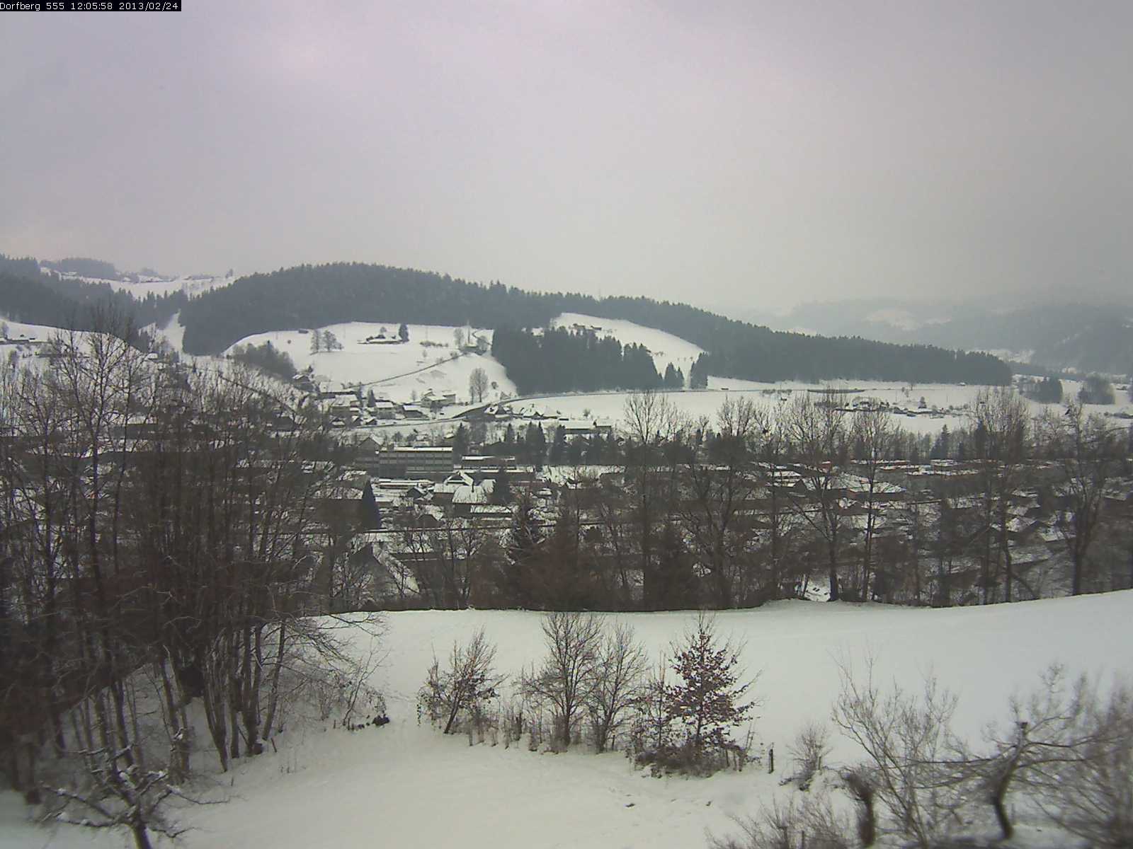 Webcam-Bild: Aussicht vom Dorfberg in Langnau 20130224-120600