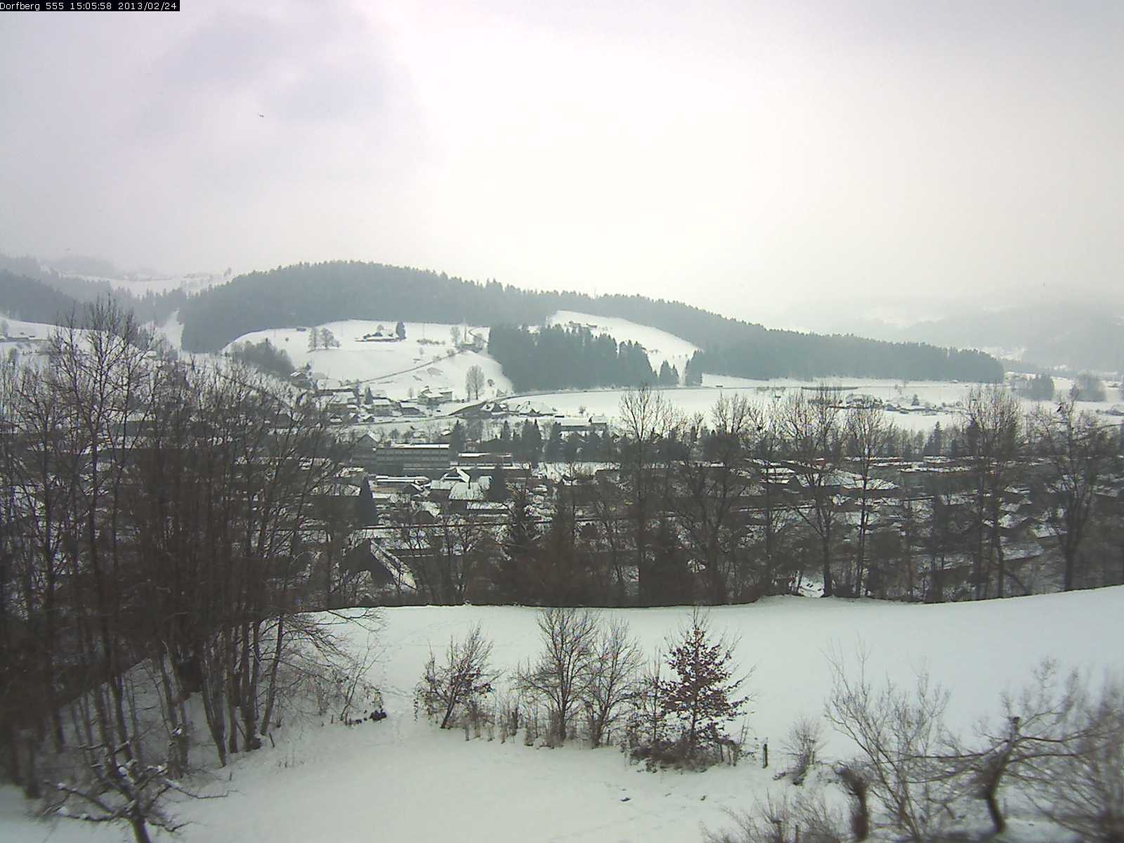 Webcam-Bild: Aussicht vom Dorfberg in Langnau 20130224-150600