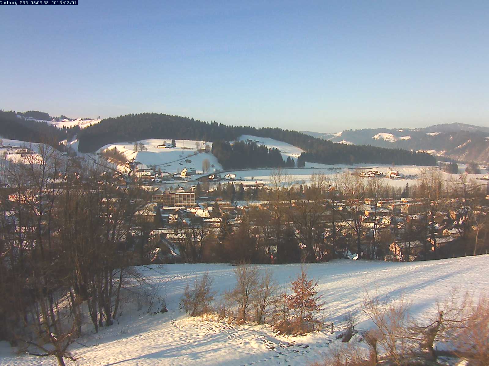 Webcam-Bild: Aussicht vom Dorfberg in Langnau 20130301-080600