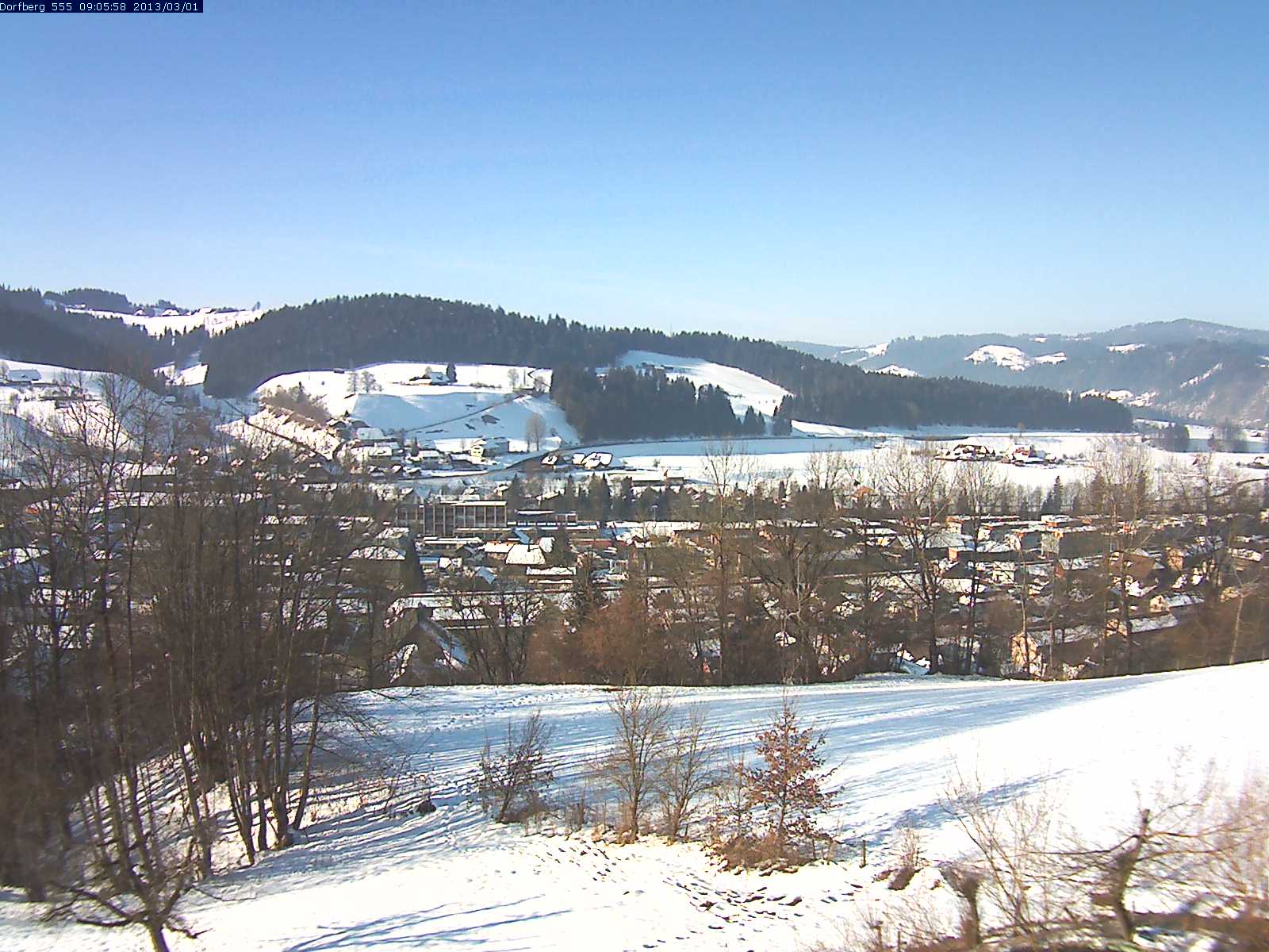 Webcam-Bild: Aussicht vom Dorfberg in Langnau 20130301-090600