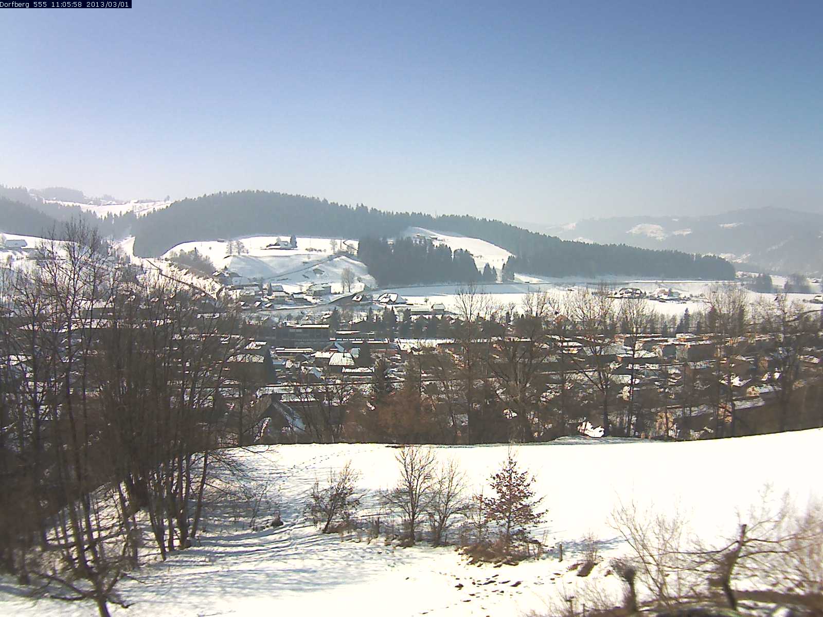 Webcam-Bild: Aussicht vom Dorfberg in Langnau 20130301-110600