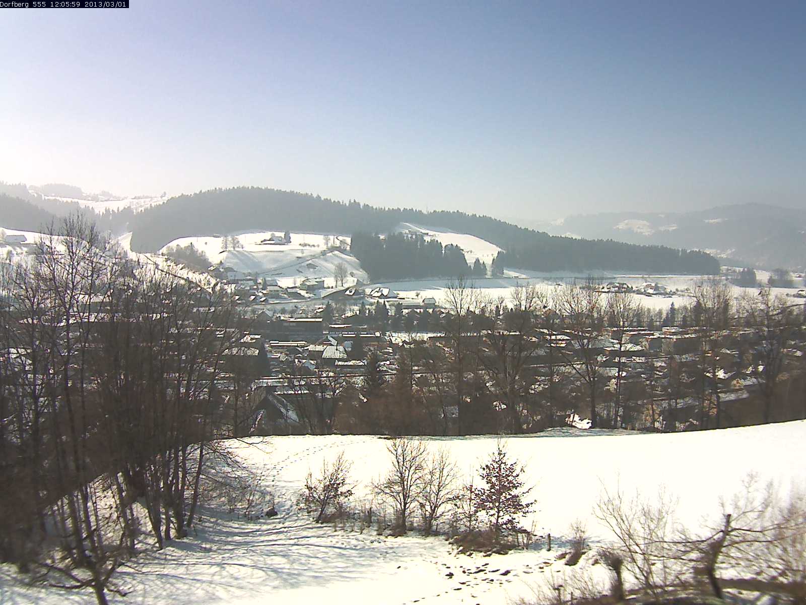 Webcam-Bild: Aussicht vom Dorfberg in Langnau 20130301-120600