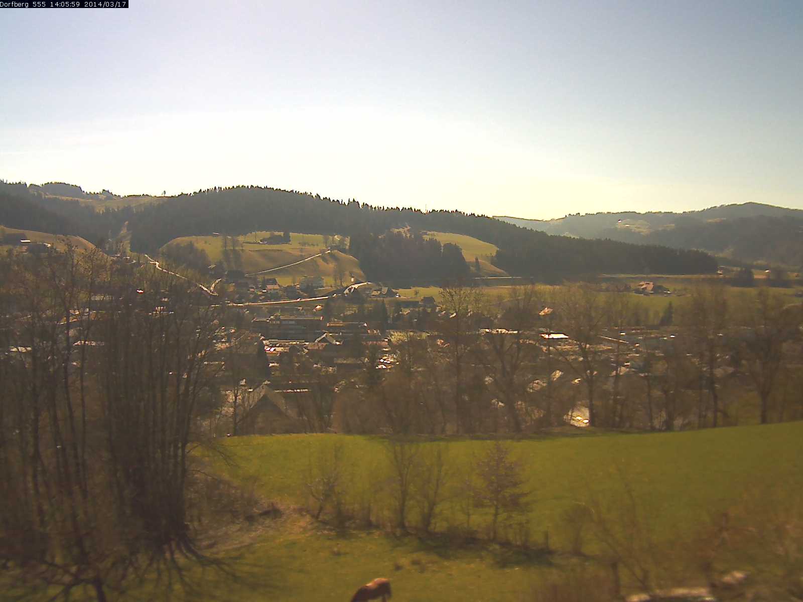 Webcam-Bild: Aussicht vom Dorfberg in Langnau 20140317-140600
