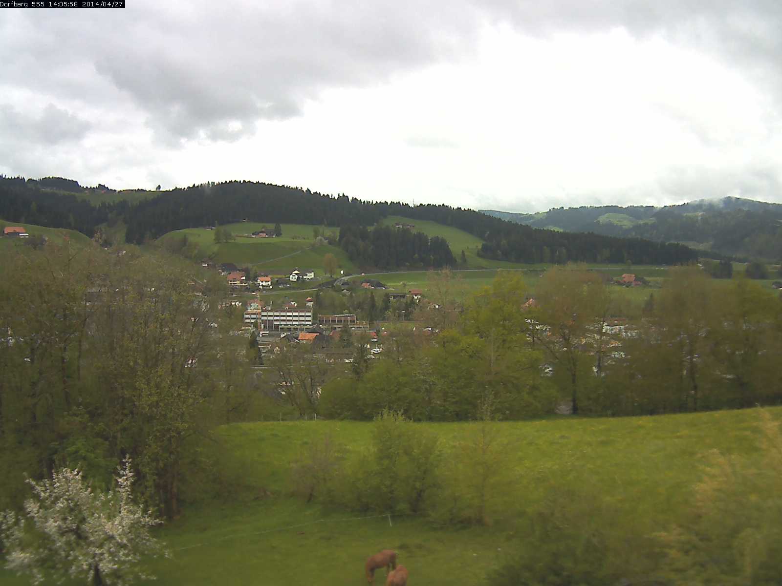 Webcam-Bild: Aussicht vom Dorfberg in Langnau 20140427-140600
