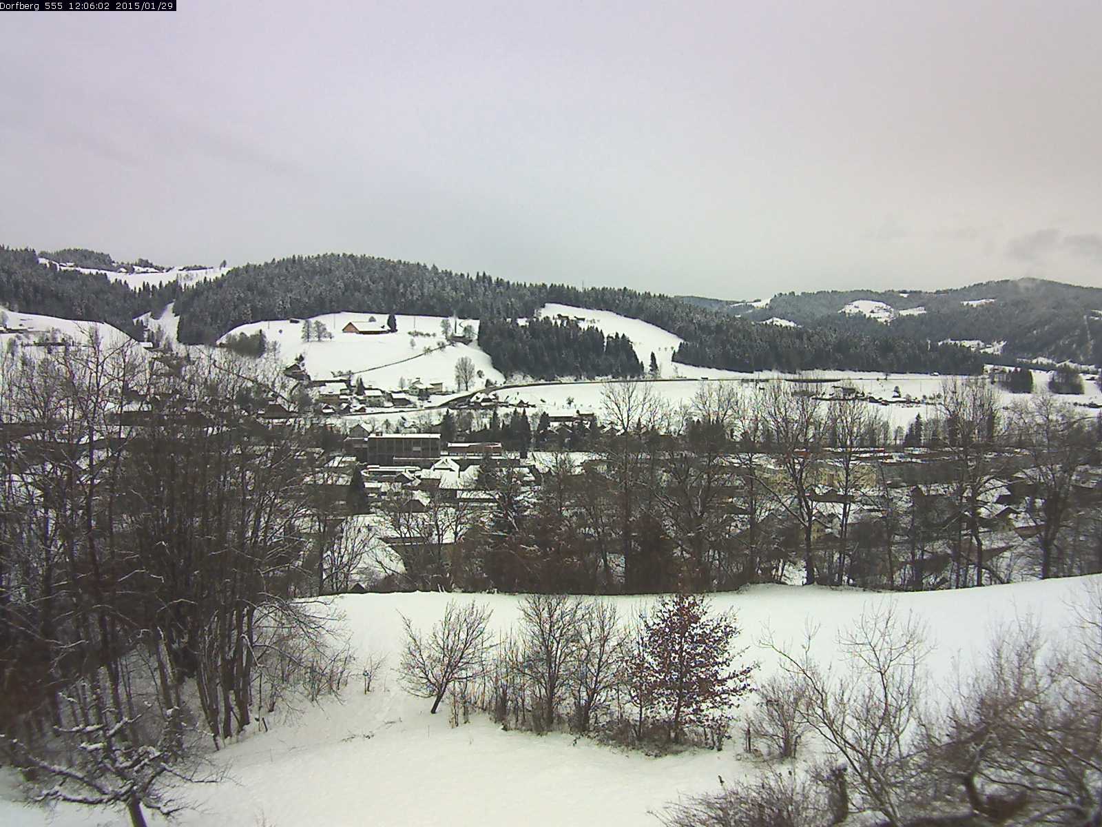 Webcam-Bild: Aussicht vom Dorfberg in Langnau 20150129-120601