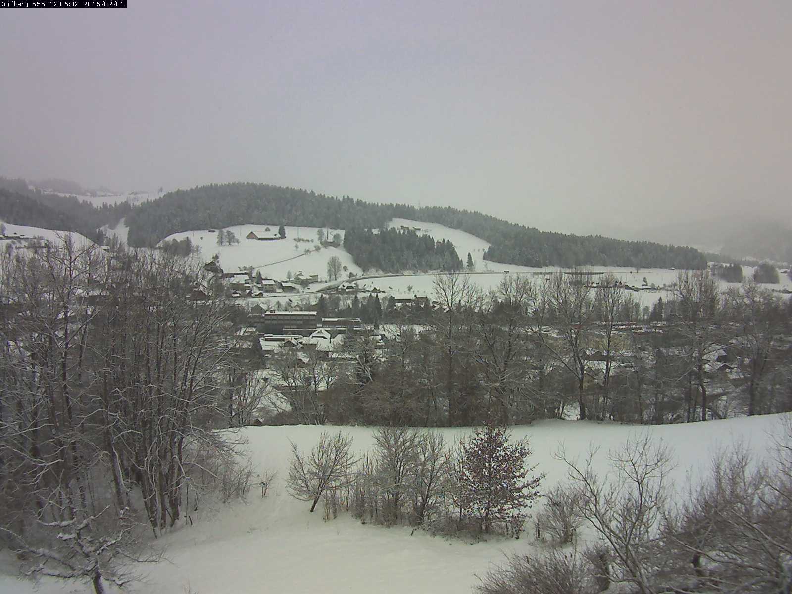 Webcam-Bild: Aussicht vom Dorfberg in Langnau 20150201-120601