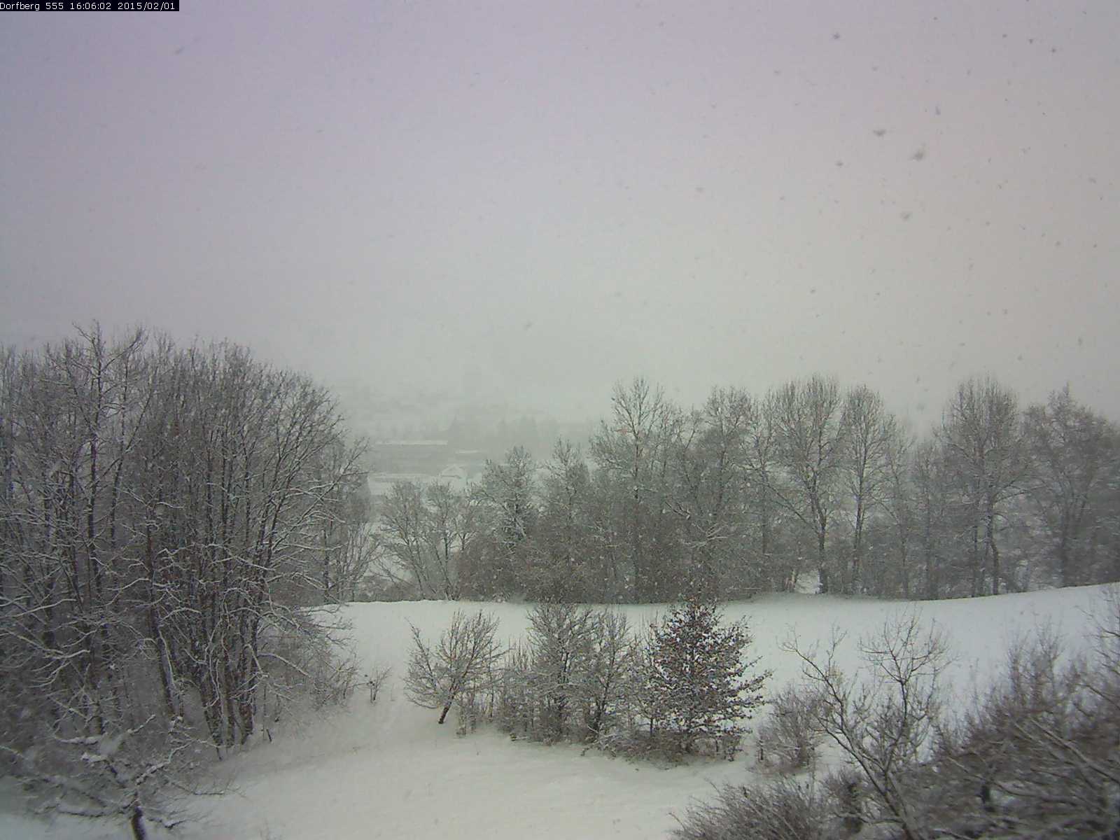 Webcam-Bild: Aussicht vom Dorfberg in Langnau 20150201-160601