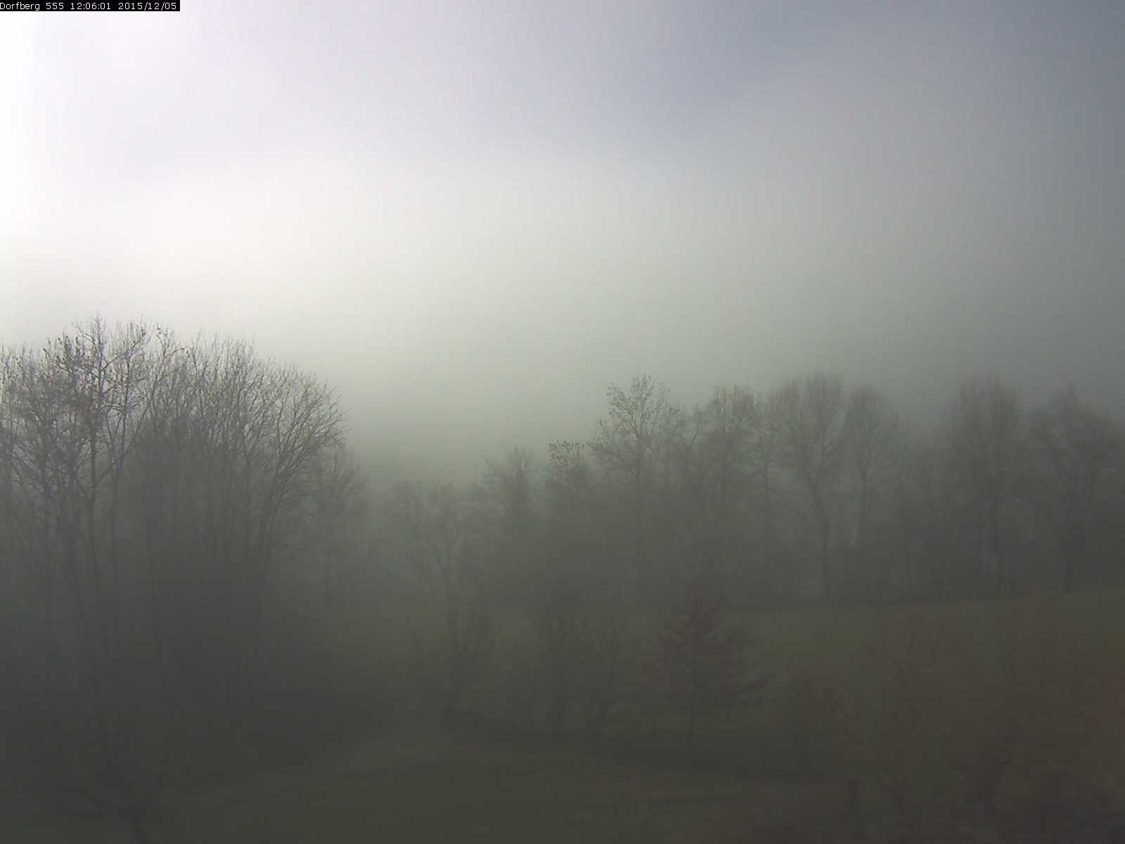 Webcam-Bild: Aussicht vom Dorfberg in Langnau 20151205-120601
